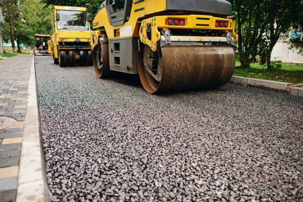 Best Professional Driveway Pavers  in Sur Hill, GA